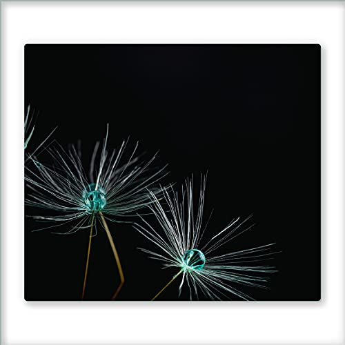 Canvas Fly 60x52 Glas-Herdabdeckplatte für Induktions- & Cerankochfeld, Küchen-Spritzschutz, Universale Küchenarbeitsplatte, Schneidebrett & Kochplatte-Abdeckung, Glasplatte inkl.Silikonnoppen