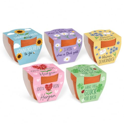MIJOMA Mini lerkruka med blomfrön, 5 presentset för hem och kontor