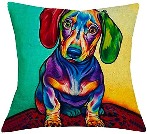 The Beach Stop Decorative Dachshund Dog Scatter Cushion Cover | Home Decor Inspo | Gift Idea for Sausage Dog Lovers | 45x45cm 18x18” | Dachshund Multicoloured