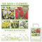 Blumenzwiebeln in Geschenkverpackung - Zwiebeln, Knollen verschiedener winterharter Pflanzen für Garten und Balkon - bunt, mehrjährig, für Topf und Beet (Garden Specials 50St.)
