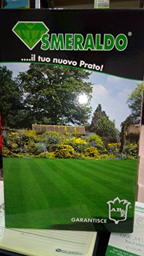 SEME PRATO MIX FESTUCA ARUNDINACEAA, SUPER SPORT, FERRI LUIGI SEMENTI KG 1, MONDONATURA