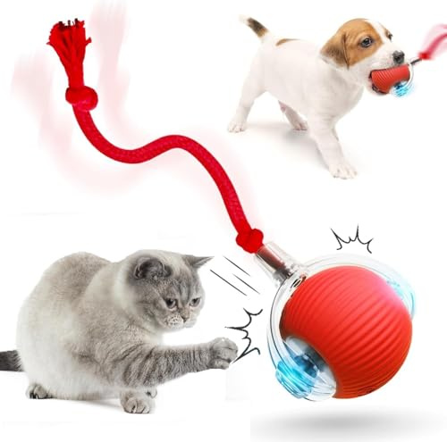 Genérico 2025 Nueva Bola De Perro De Perro Interactiva, New Jugguete Electro con Carga USB, Juguetes Interactivos para Gatos Toyes Automáticos para Perros Autónomos, 360° Smart Automatic (Rojo)