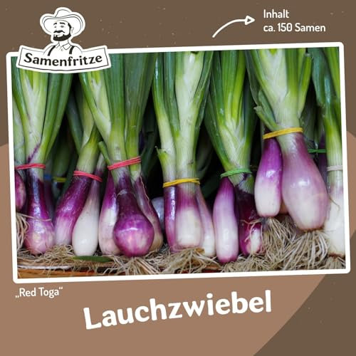 Lauchzwiebel Red Toga ca. 150 Samen - schnellwachsende Sorte mit roter Zwiebel
