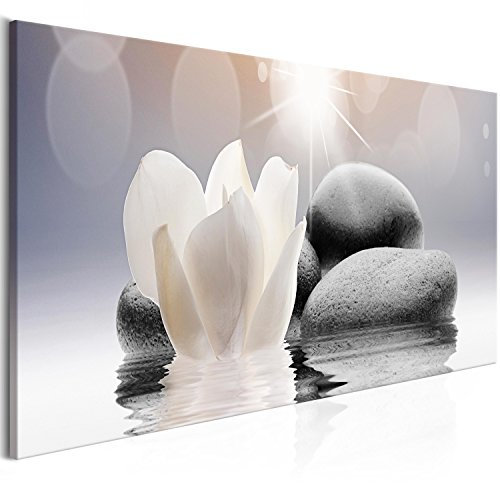 murando - Quadro Acustico 1 pezzo schiuma acustica Quadri Moderni Camera da Letto Matrimoniale - Stampa su Tela - Pannelli Fonoassorbenti Decorativi - Fonoassorbente Acustiche