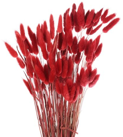 QUARKZMAN 120pcs Cola De Conejo Natural Flores Secas 18 Mini Hierba de Pampa Lagurus Ovatus Ramo para Decoración Floral Bodas Navidad, Rojo
