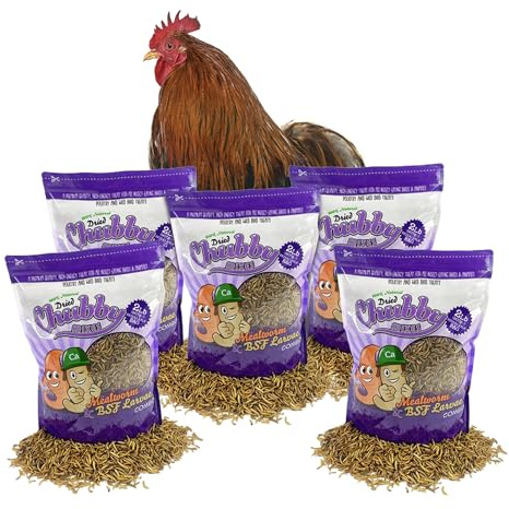 Chubby Mix Mealworm & Black Soldier Fly Larvae | 10 lbs | Non-GMO High-Protein Dried Insects for Chickens, Ducks & Wild Birds – Calcium-Rich Chicken Treats