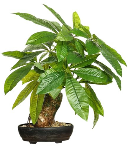Yardwe Plante Artificielle Pot Bonsaï Décoratif Réaliste Faux Arbre Végétal Plante Verte Intérieure