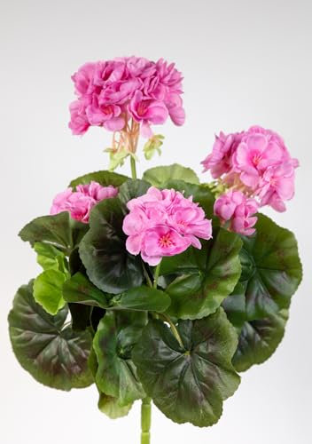 Geranie 32cm -ohne Topf- LM Kunstpflanzen Kunstblumen künstliche Blumen Pflanzen Pelargonium … (Rosa)