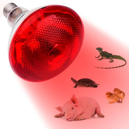 Weciau Lampara Infrarrojos para Reptiles, Lámpara de Luz Roja de 250 W, para Animales Gallinas, Perros, Cerdos y Vivario