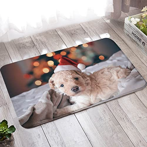 Bishilin Fußmatten Haustür 50x80, Badezimmer Teppich rutschfeste Hund mit Weihnachtsmütze Fußabtreter Innen Weihnachten