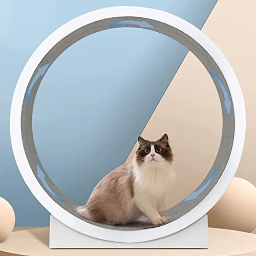 Löpband för katter, Viktminskningsanordning for katter Löphjul for Pariserhjul