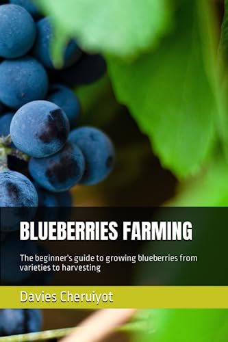 BLUEBERRIES FARMING: The beginner's guide to growing blueberries from varieties to harvesting