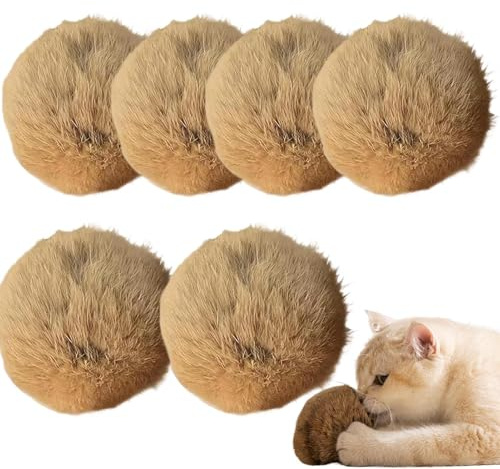 6 st kattgräsbollar för, tvättbara interaktiva kattbollar för husdjur, kattgräsbollar för kattgräs | för berikning av små och medelstora kattungar