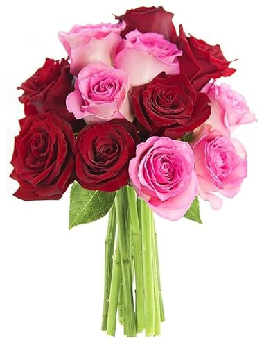 KaBloom PRIME NEXT DAY DELIVERY-Red and Pink Roses 12 with Greens Bouquet .Gift for Birthday, Sympathy, Anniversary, Get Well, Thank You, Valentine, Mother’s Day Fresh Flowers