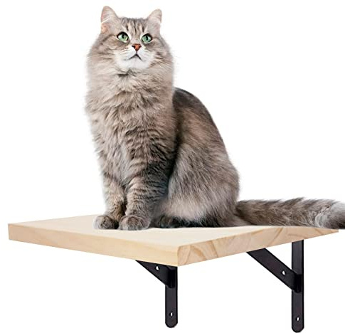 Kletterwand für Katzen, Katzentreppe Katzenstufentreppe Katzenleiter Stufen Haustier Katze Wandmontage Treppe Wandstufe Katzentreppe für Haustiere, Möbel zum Klettern, Spielen, 1-teilig