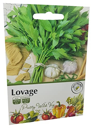 Lovage Herb Seeds Vegetable Fruit Seeds Veg Seeds Cabbage Carrot Sweetcorn Tomato Strawberry (Lovage)