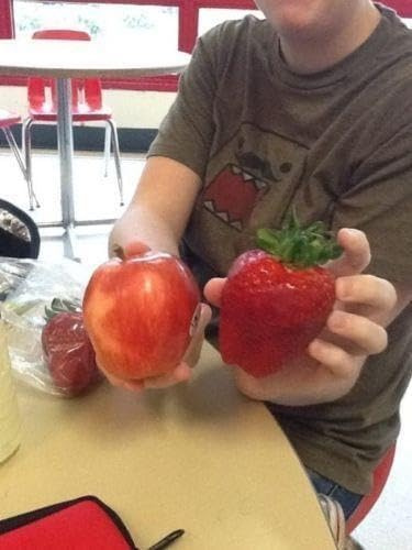 Semi di Fragola a Frutto Grosso, semi rari, Confezione fragole giganti 100 Semi, Large Strawberry Seeds