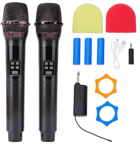 Doppio microfono dinamico portatile wireless per eventi di performance dal