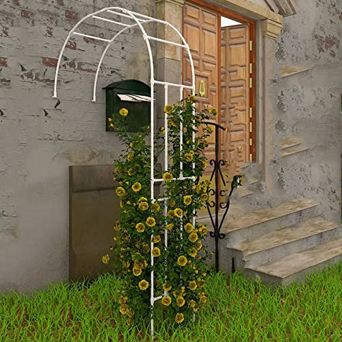 Elegant Metal Rose Arch for Outdoor Garden Decor Ideal for Climbing Plants & Tree Support Half Garden Arch in White 180x240CM