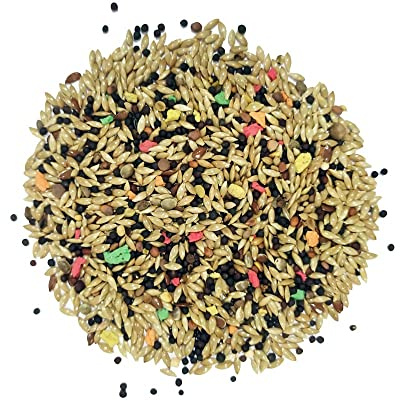 Alimento Semillas sin Avena para Canarios 3Kg