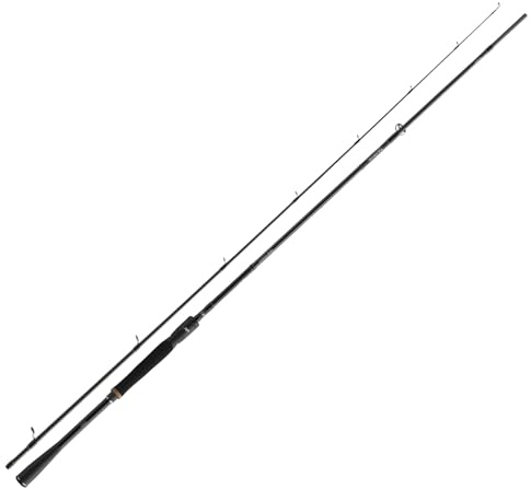 Daiwa Prorex XR Spin 802MH, 2,40m, 18-84g, 2 Teile, Spinn-Angelrute