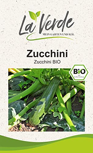 Zucchini BIO Zucchinisamen Grün