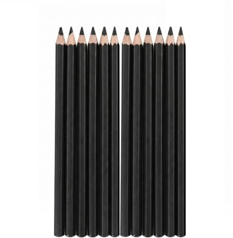 YSAMAX Set Of 1 Charcoal Drawing Pencils, Sketching, Shading & Creating Various Tones And Shades For Versatile Drawing, Sturdy Drawing Pencils, Suitable For Artists Of All Levels (1 Pack)
