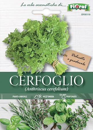 Bustine per uso hobbystico di sementi per la produzione di fiori, piante da orto e piante aromatiche (Cerfoglio)