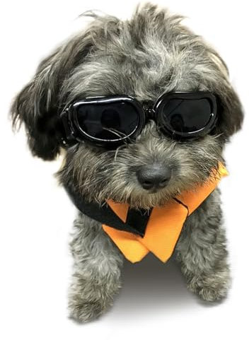 Enjoying Hundebrille für kleine Hunde, UV-Schutz Hund Sonnenbrille kleine Rasse, Welpenbrillen für Fahren, Winddichte staubdichte Anti-Nebel, verstellbare, schwarz