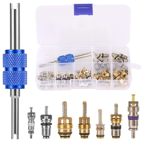 PEUTIER 40 Pzs Kit de Núcleo de Válvula de AC, Núcleo de Válvula de Aire Acondicionado de Coche con Herramienta de Desmontaje Kit de Válvula Schrader A/C R12 R134a para la Mayoría de los Coches