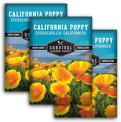 Survival Garden Seeds - California Poppy Seeds for Planting - 3 Packets with Instructions to Grow Eschscholzia Californica Plants in Your Home Flower Garden - Non-GMO Heirloom Wildflower Variety