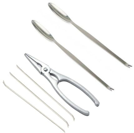Crostacei Pinza per Aragoste e Scampi, Apri Granchio Crostacei Astice 17cm, incluso Forchette, Argento Lucidato (SET 6PCS)