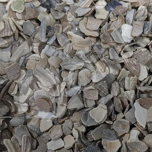 Dihl 2KG Poultry Oyster Shell Grit, High in Calcium, Enhancing Strong Bones, Helps Digestion, Promotes Quality Chicken Hen Eggs, Soluble Natural Food Mix, 2 KG