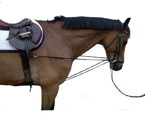 pfote-und-huf Dreieckszügel Wiener Zügel Laufferzügel Pony extra Endmaßpony Haflinger Isländer