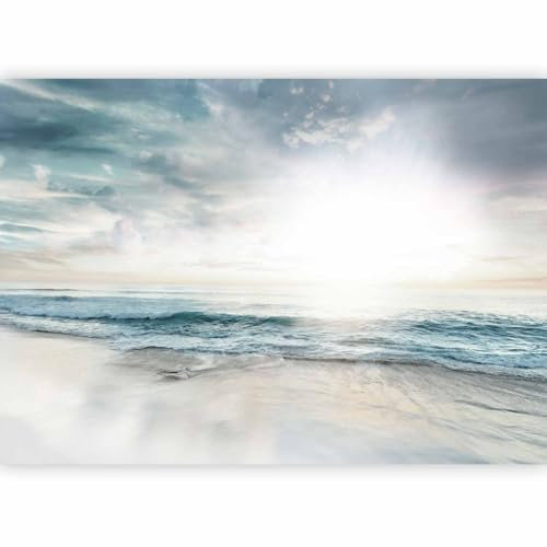 murando Papier peint intissé Mer 200x140 cm Décoration Murale XXL Poster Tableaux Muraux Tapisserie Photo Paysage Nature Vague b-C-10218-a-a