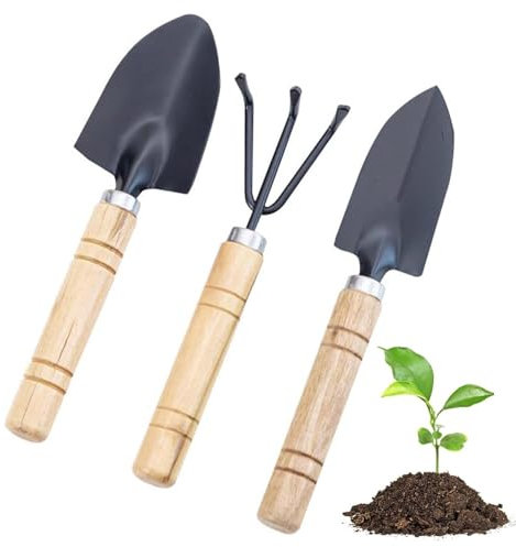 Lonwiner 3 pcs Mini Outils de Jardin Kit,Outils de Jardinage Kit 1 Pelle à terreau, 1 Transplantoir, 1 Fourche pour Plantes en Pot pour Jardin Plantes Intérieur Extérieur