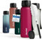 Blumtal Trinkflasche 1L - auslaufsichere Trinkflasche Sport + 1-Klick-Verschluss - BPA-freie Wasserflasche 1L mit Sieb - Sport Trinkflasche spülmaschinenfest - 1 Liter- Berry