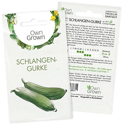 Schlangengurken Samen: 20 Gurken Samen für die Schlangengurke – Samen Gemüse für Gurken Pflanzen – Gurken Saatgut – Gemüse Samen Gurke – OwnGrown