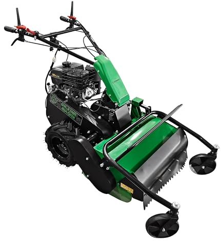 Grünwelt GW-X700E - Mulcher con arranque electrónico (cortacésped y aceite de motor)