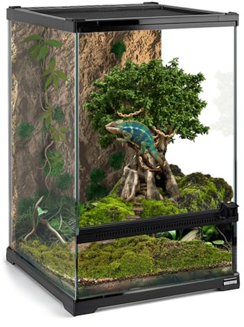 Waazoorep Mini Reptile Glass Terrarium Tank 8x8x12“ Full View with Front Opening Door and Enclosure Habitat Cage for Leopard Gecko Tarantula Young Lizard Hermit Crab Frog Insects Breeding Tank