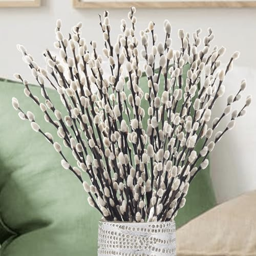 Natural Dried Pussy Willow Branches - 30PCS Real Willow Twigs for Indoor Decor, Easter Spring Arrangements, Wreath Making, and Farmhouse Home Centerpiece