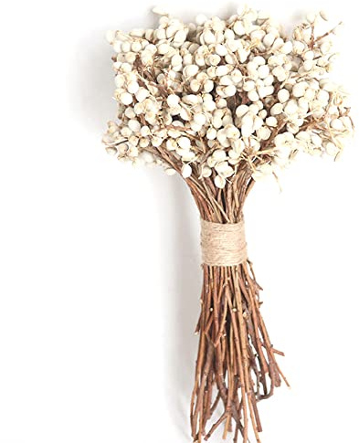 Permini Di Cotone Naturali Fiore Secco 20pcs/set Vero Mazzo Di Cotone Bianco in Stile Fattoria Decorazione Floreale Per Artigianato Fai - -te Materiale