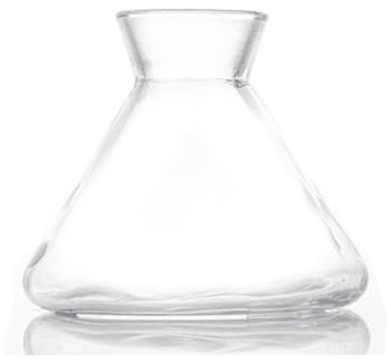 TUPANDY Diffusore in vetro vuoto da 220 ml, diffusore con bastoncini per aromaterapia, accessori per profumi, set di diffusori a bastoncini di ricambio fai da te (trasparente)