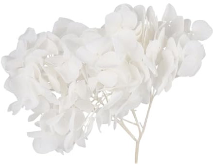 Cabilock 1paquete Pétalos De Hortensia Secos Naturales Preservados para Decoraciones Blanco