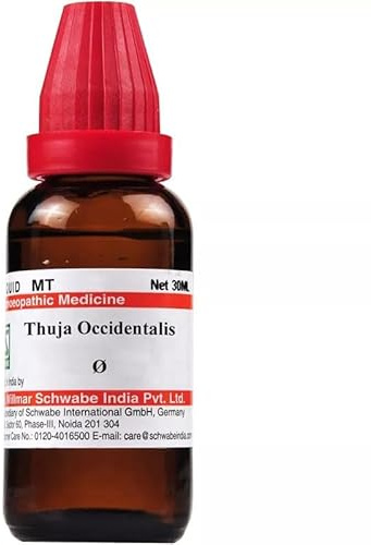 Willmar Thuja Occidentalis Mother Tincture Q (30ml) - by OTCSTORE1