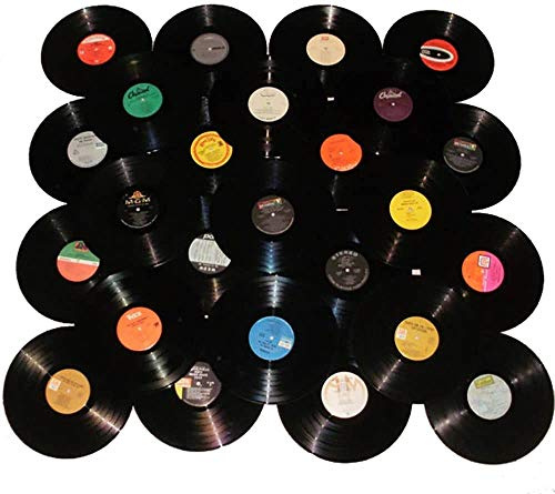 VinylShopUS - Lot of 12 Vinyl Records for Crafts & Decoration Artwork for Party Decor Artist Studio Vintage Look (Lot of 10)