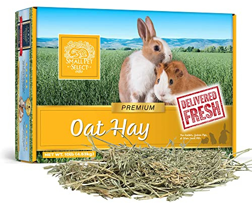 Small Pet Select – Oat Hay Pet Food, 10lb (4.54kg) Box | High-Fiber, Aromatic Hay for Rabbits, Guinea Pigs & Small Pets | Easy-to-Store Packaging