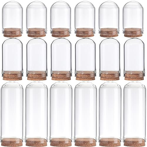 SUNNYCLUE Glasvitrinen, Glasvitrinen, Glasvitrine mit Holzsockel, 3,6 cm, 4,5 cm, 7,2 cm, kleine Glasflaschen, dekorative Gläser für Blumenaufbewahrung, Muscheln, Partyzubehör, Heimdekoration, 12