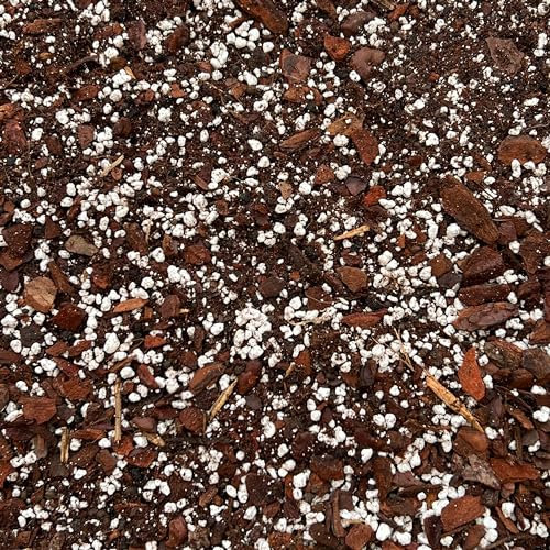 Bonsai Potting Mix with Activated Biochar, Premium Blend for Healthier Trees, Enhanced Nutrient Absorption & Aeration, Ideal for Indoor & Outdoor Bonsai Growth (2L)
