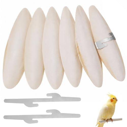 KYLOS 6 Pièces Os De Seiche + 2 Attaches, Pour Perroquets Oiseaux Reptiles, 7-9Cm Taille, Jaune, Source De Calcium